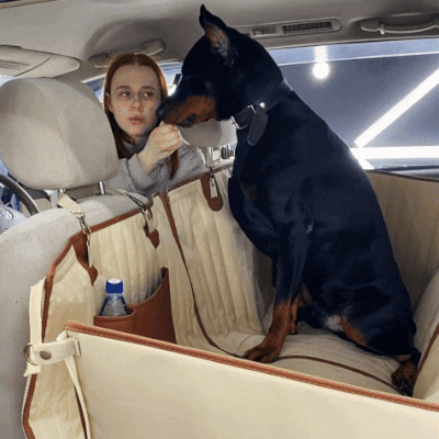 Sturdy Car Dog Hammock With Side Flaps
